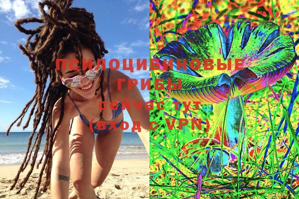 MESCALINE Инсар