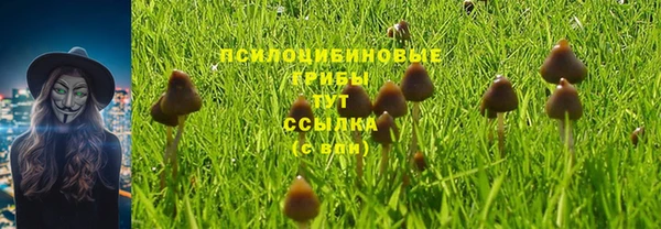 кокс Инта