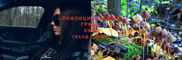 кокс Инта