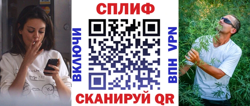 Бошки Шишки MAZAR Дубовка